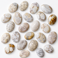 Conglomerate Worry Stone pour la guérison des cristaux (Pocket Palm Stone / Thumb Stone)