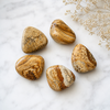 Picture Jasper Tumbled Stone A Grade, Small Tumbled Crystals, 1pc, 2,3,5 y 10pcs