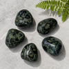 Kambaba Jasper Tumbled Stone A Grade, Medium Tumbled Crystals, 1pc, 2,3,5 y 10pcs