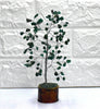 Green Jade Crystal Tree (Peace Of Mind and Stress Relief)