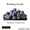 Lepidolite Tumbled Crystals (Emotional Understanding and Generosity)