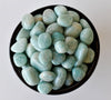 Amazonite Tumbled Crystals(Alignment Of Chakra & Breaking Addictions)