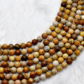 Fossil Coral A Grade 4mm, 6mm, 8mm, 10mm Round Beads