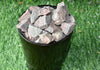 Unakite Rough Stones, 1 inch Unakite Raw Stone